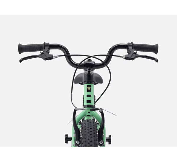 Bicicleta infantil PRECALIBER 16 FW