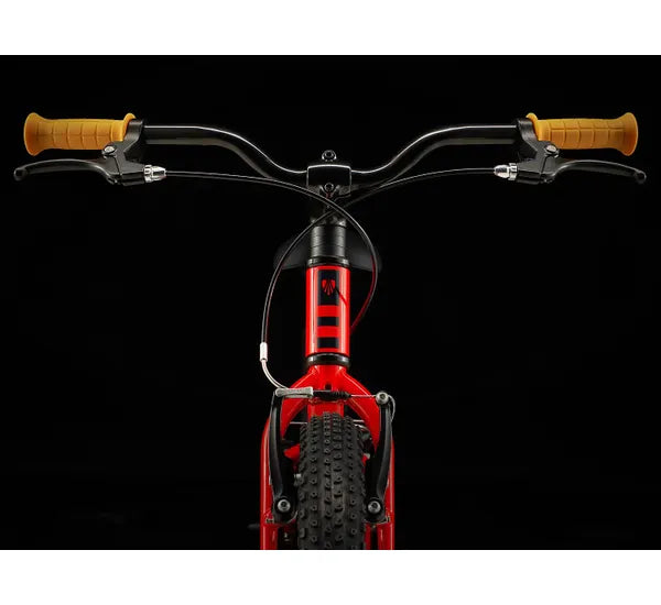 Bicicleta infantil PRECALIBER 20 fw