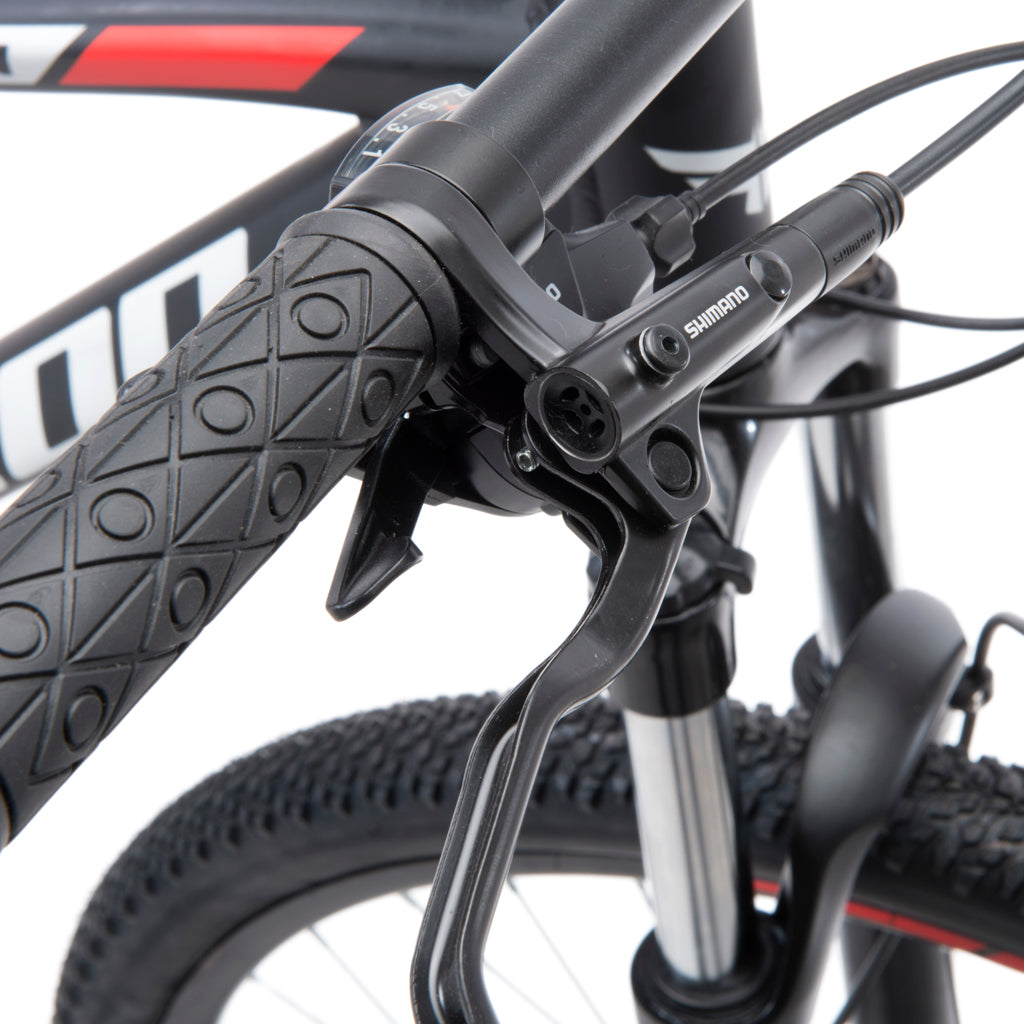 Bicicleta Mountain Bike Aragon Aro 29