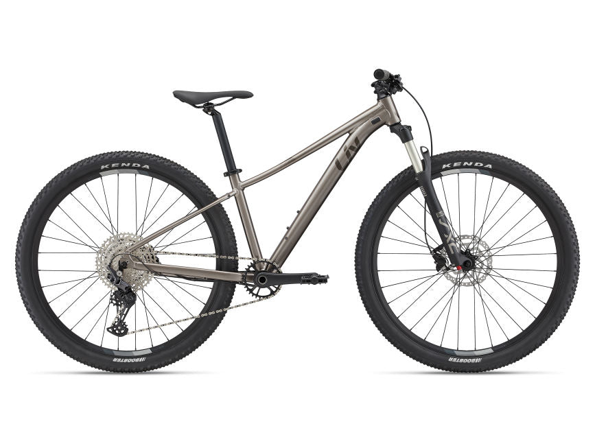 Bicicleta Mountain Bike Tempt 0 Aro 29 Gris