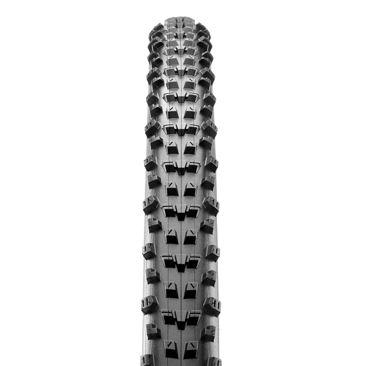 Neumático ALL TERRANE 700X33C EXO/TR