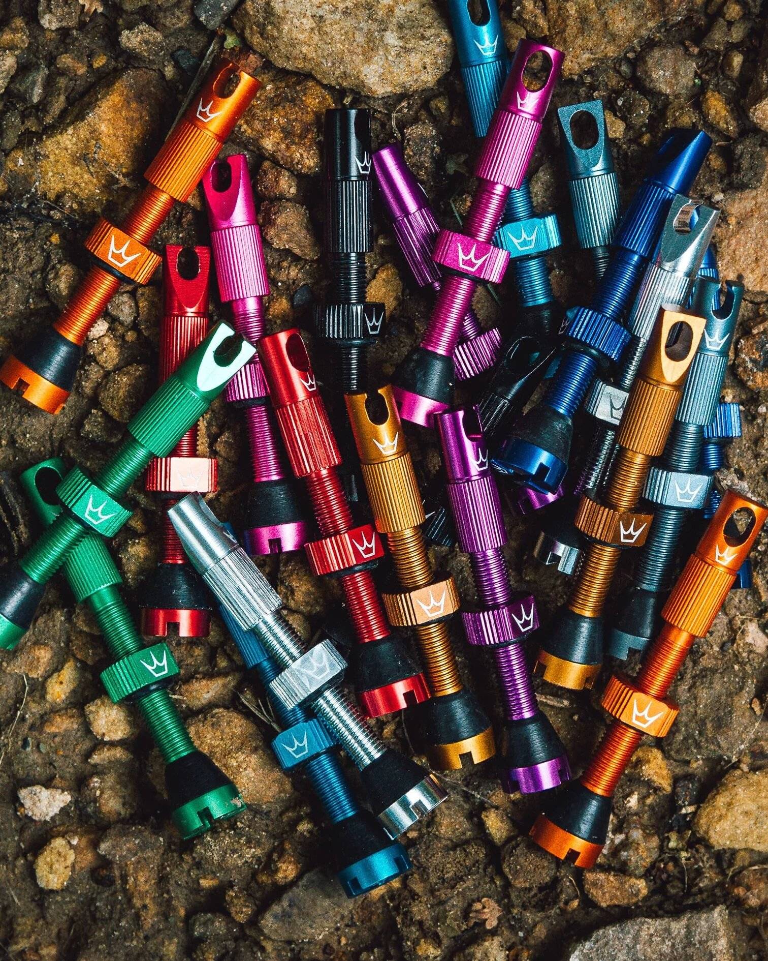 6219323d3a5610730eb63935