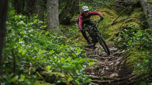 Bicicleta Eléctrica Range VLT C2 Carbono Aro 29